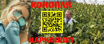 прущие крисы Краснодар