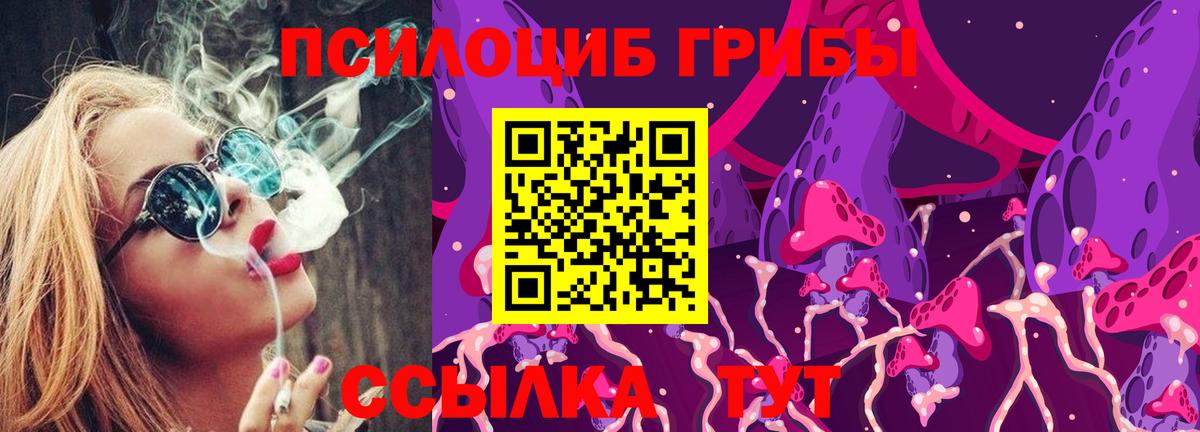 Щёлково  где купить   Вход с VPN  Псилоцибиновые грибы Cubensis 